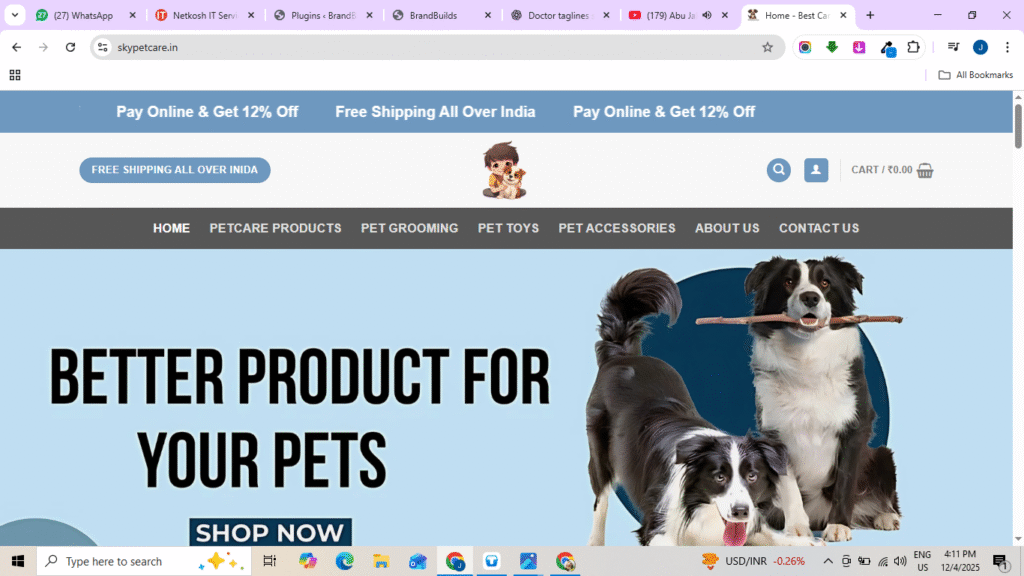 website designing company in Amroha
